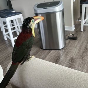 Meet your Posher, Lana-kay